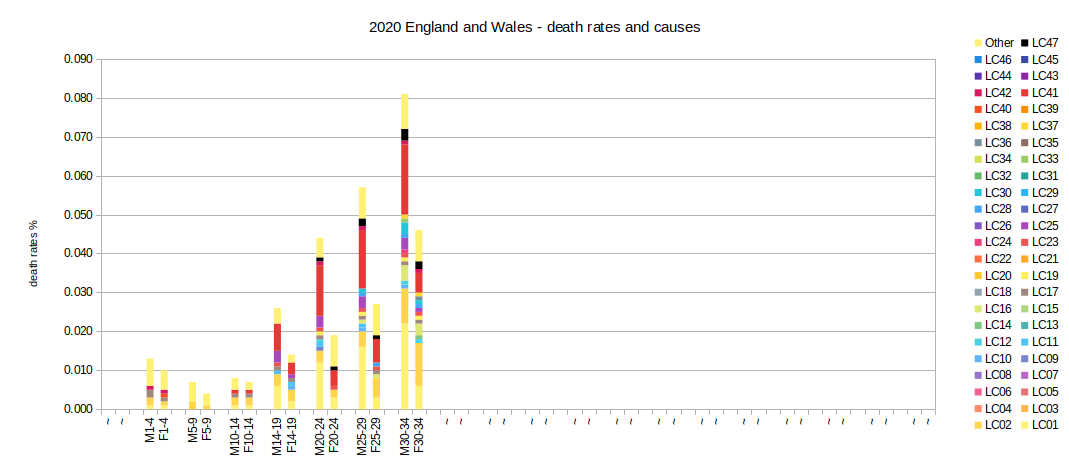 2020 causes and rates of death